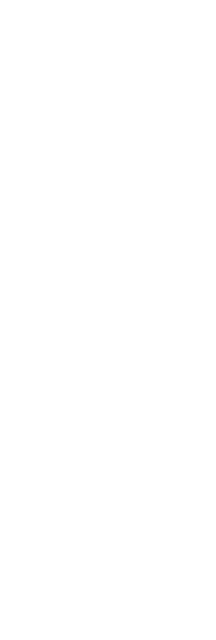 Logo Gray
